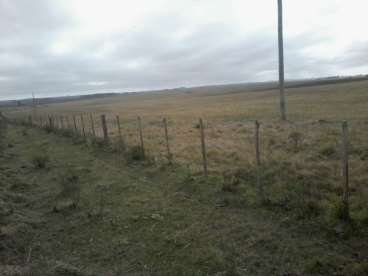 Urgente - 680 hectareas en tacuarembo / uruguay