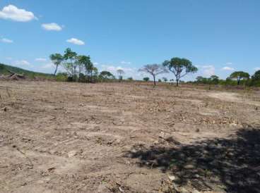 Fazenda em arraias-to. ótimo prazo