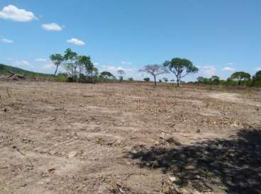 Fazenda em arraias-to. ótimo prazo