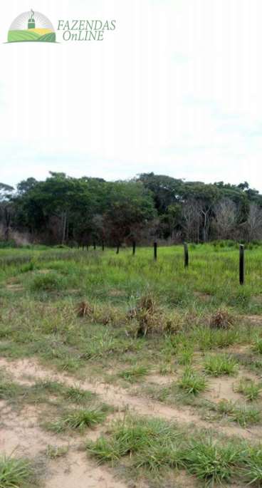 Fazenda de soja 6.000 hec em campo novo do parecis