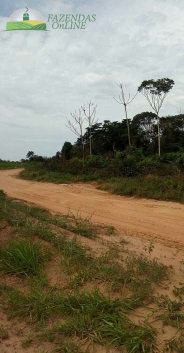 Fazenda de soja 6.000 hec em campo novo do parecis