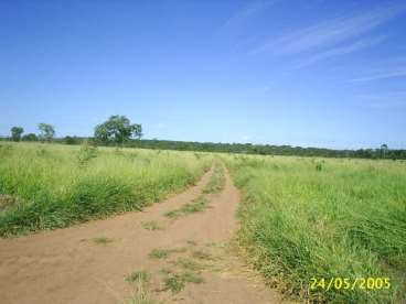 Mt - vila bela da santíssima trindade fazendas