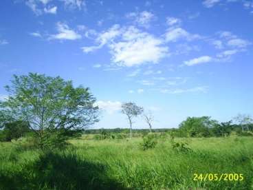 Mt - vila bela da santíssima trindade fazendas