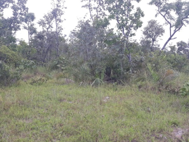 Vendo fazenda no parana- tocantins- 100 alqueiroes