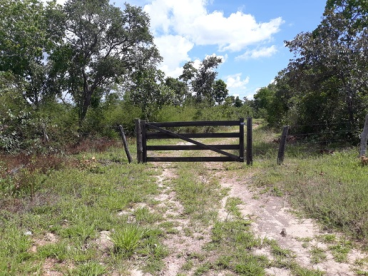 Vendo fazenda no parana- tocantins- 100 alqueiroes