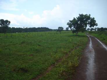 Fazenda a venda em mato grosso