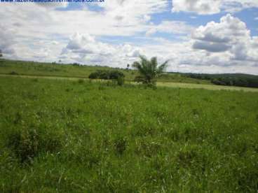 Fazenda aquidauana-ms