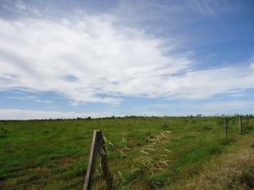 Fazenda 548 ha aberta pra soja - canarana mt