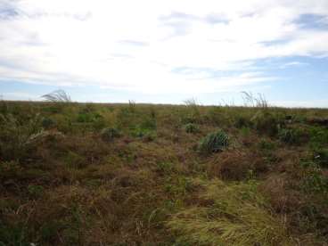 Fazenda 548 ha aberta pra soja - canarana mt