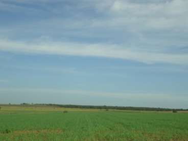 Fazenda 200 ha soja /milho canarana mt