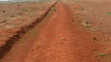 Fazenda 3.080 há soja/milho/capim canarana mt