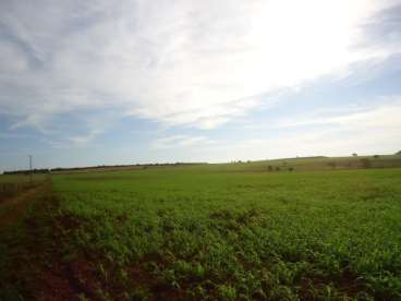 Fazenda 200 ha soja /milho canarana mt