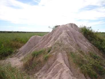 Fazenda 548 ha aberta pra soja - canarana mt