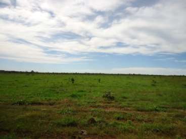 Fazenda 548 ha aberta pra soja - canarana mt