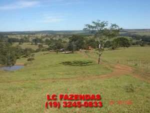 Fazenda em vianópolis - goiás