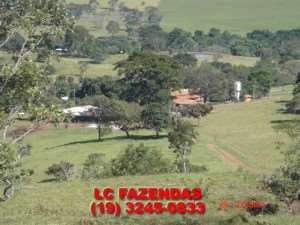 Fazenda em vianópolis - goiás