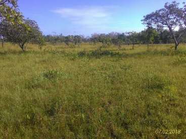 Fazenda para pecuária/agricultura no amapá