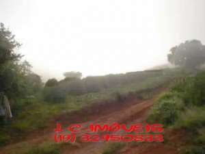 Fazenda de café em borda da mata - minas gerais