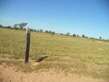 Fazenda em mato grosso