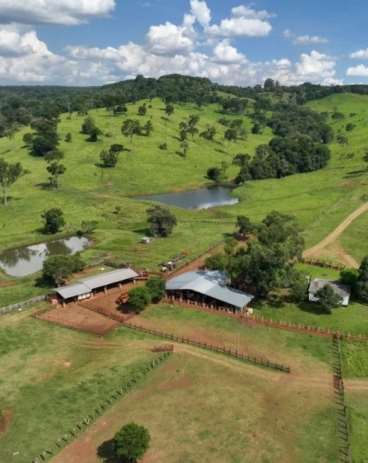 Campo a venda bernardo de irigoyen – misiones – ar
