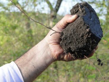 Fazenda de 2.080 ha