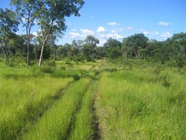 Fazenda de 2.080 ha