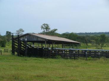 Fazenda de 665 ha