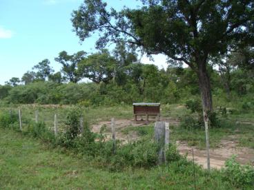 Fazenda de 665 ha