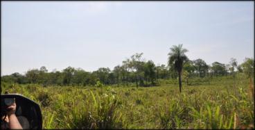 Fazenda de 950 ha
