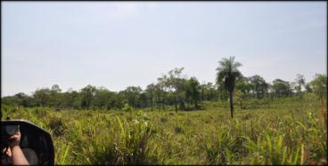 Fazenda de 950 ha