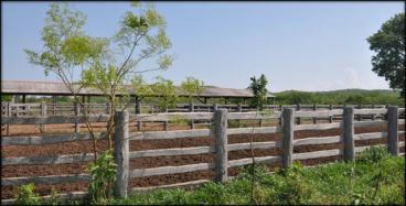 Fazenda de 950 ha