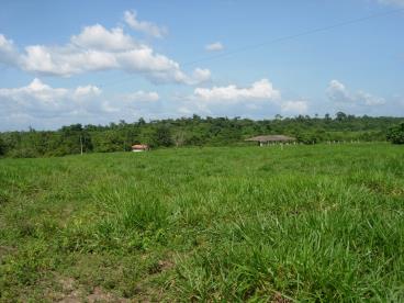 Fazenda