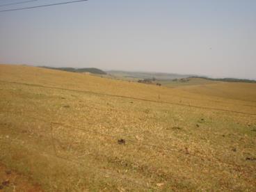 Vendas de fazendas em varias regioes do brasil