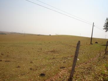 Vendas de fazendas em varias regioes do brasil