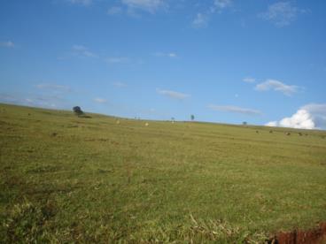 Vendas de fazendas em varias regioes do brasil