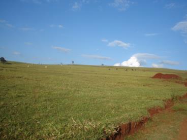 Vendas de fazendas em varias regioes do brasil