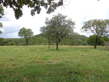 Fazenda de 282 ha