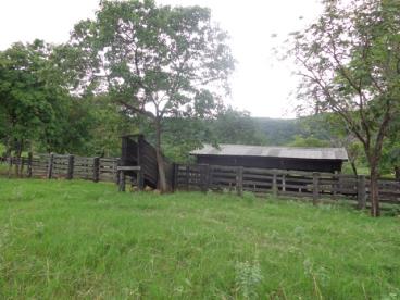 Fazenda de 282 ha