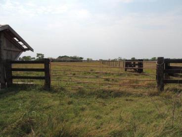 Fazenda de 1.680 ha