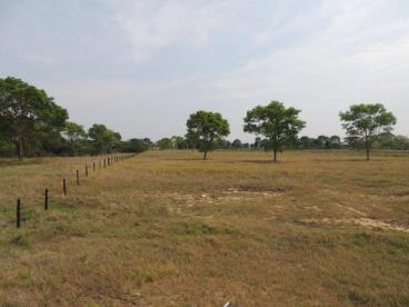 Fazenda de 1.680 ha