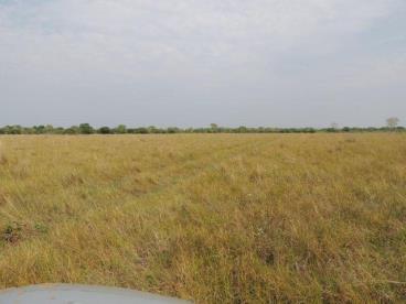 Fazenda de 1.680 ha