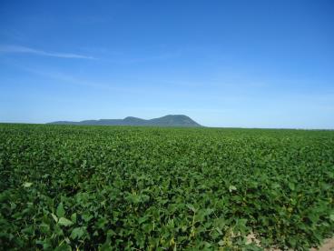 Fazenda pronta para soja