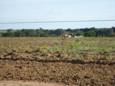 Fazenda pronta para soja