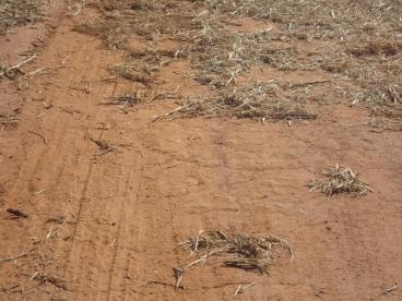 Fazenda pronta para soja