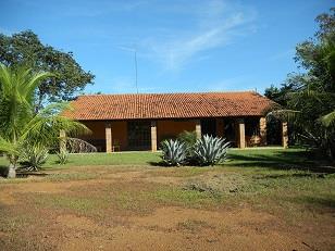 Fazenda para agricultura com 300 ha de eucalipto