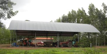 Fazenda para agricultura com 300 ha de eucalipto