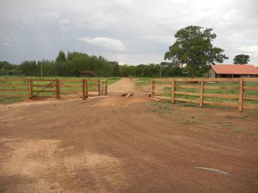 Fazenda para agricultura com 300 ha de eucalipto