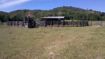 Fazenda em coxim