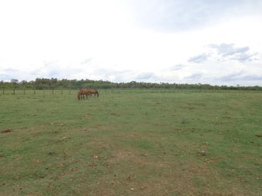 Fazenda de 1.175 ha