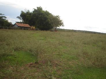 Venda de fazenda na regao de primavera do leste m